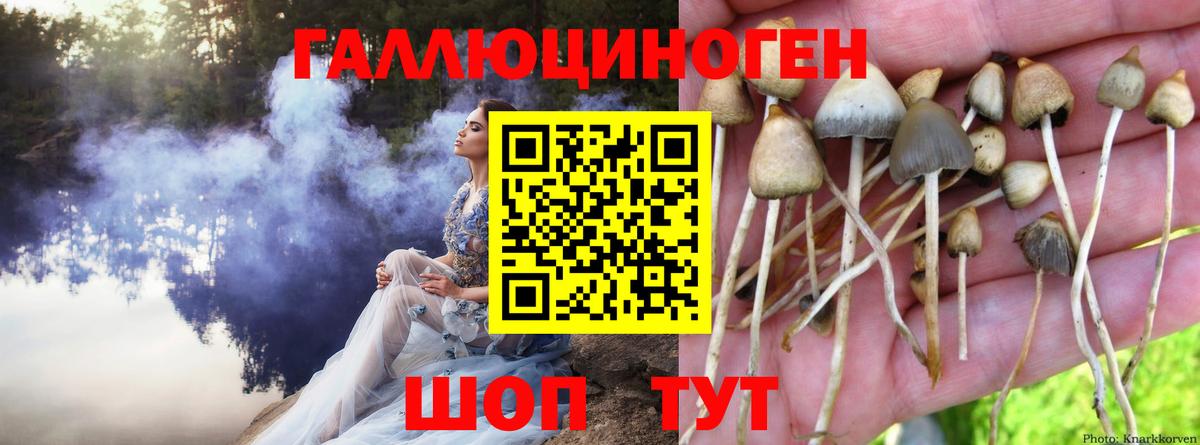 Уварово  Псилоцибиновые грибы MAGIC MUSHROOMS  Вход с VPN 